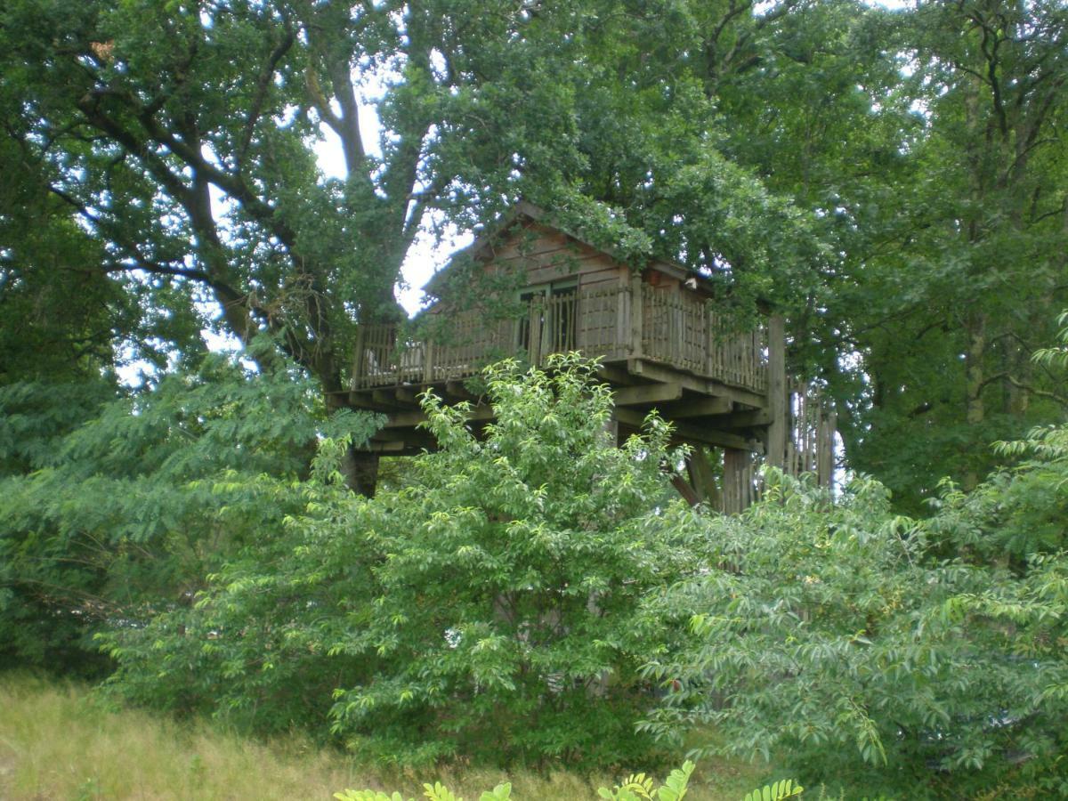 Cabane Perchee Solférino Buitenkant foto