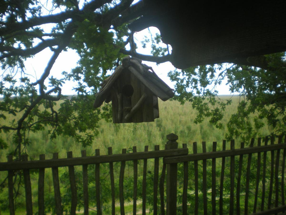 Cabane Perchee Solférino Buitenkant foto